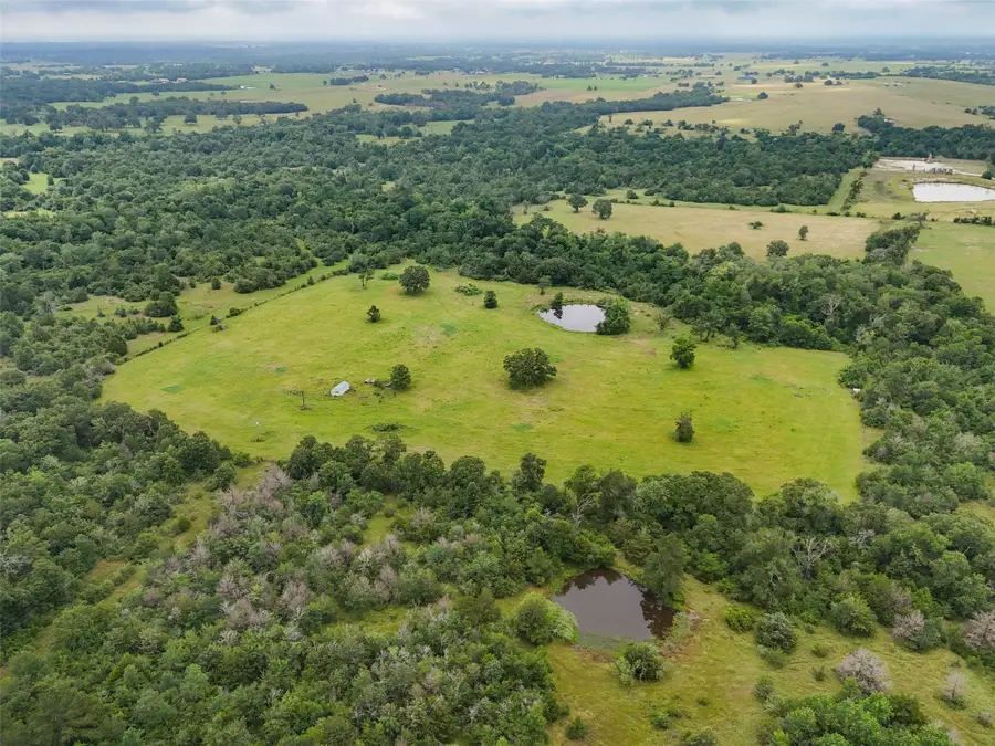 8230 Burns Road, Midway, TX 75852 - #2