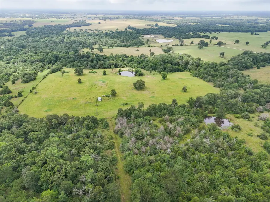 8230 Burns Road, Midway, TX 75852 - #3