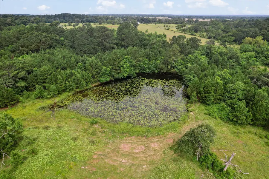 555 Scroggins Lane, Waller, TX 77484 - Image #3