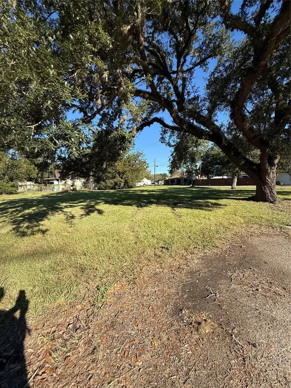 409 E 2nd Street, Sweeny, TX 77480