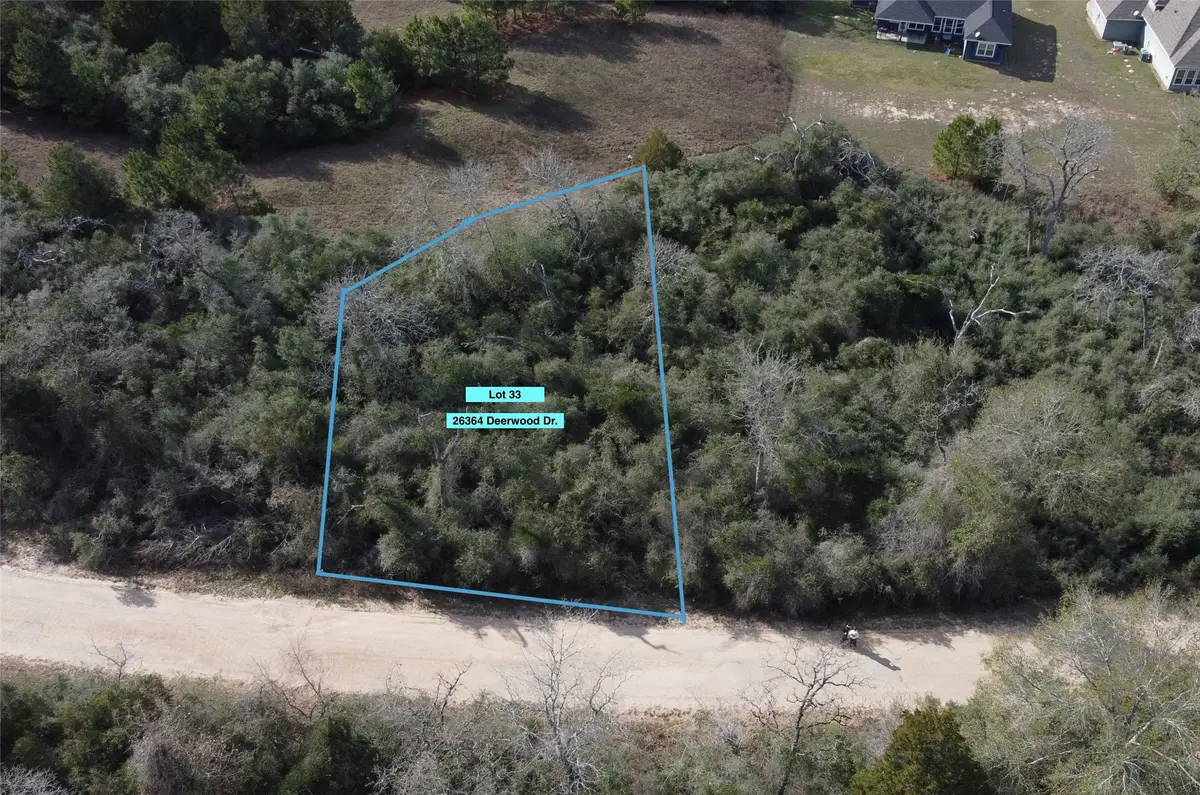 26364 Deerwood Drive, Hempstead, TX 77445 - #1