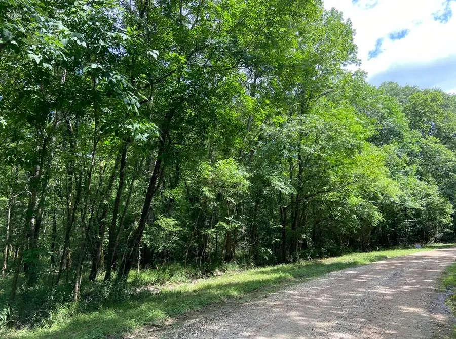 TBD Royal Estates Dr, Conroe, TX 77303 - #2