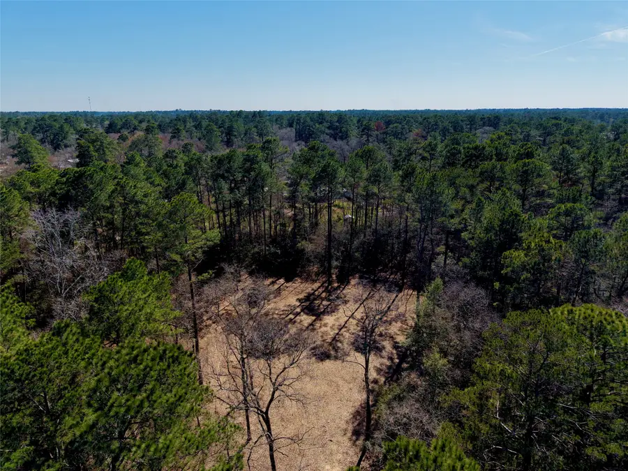 17819 Indigo Hills Drive, Magnolia, TX 77355 - #2