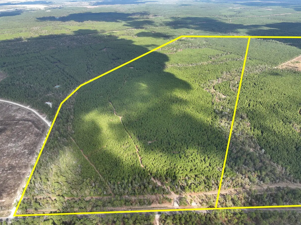 T-2 Fm 247, Huntsville, TX 77340 - Image #1