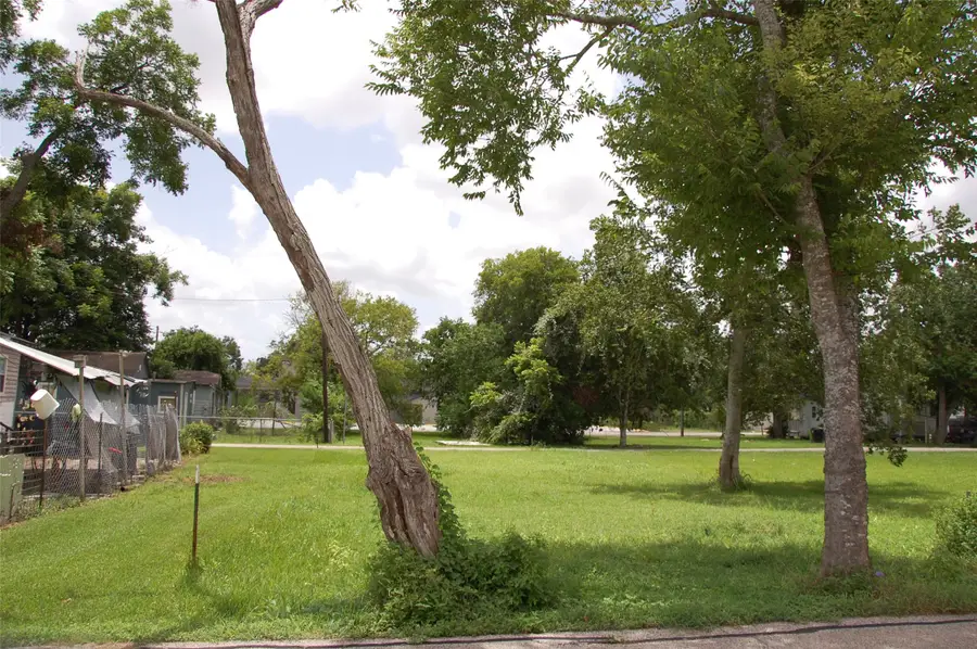 1002 Rufus Street, Richmond, TX 77469 - #3