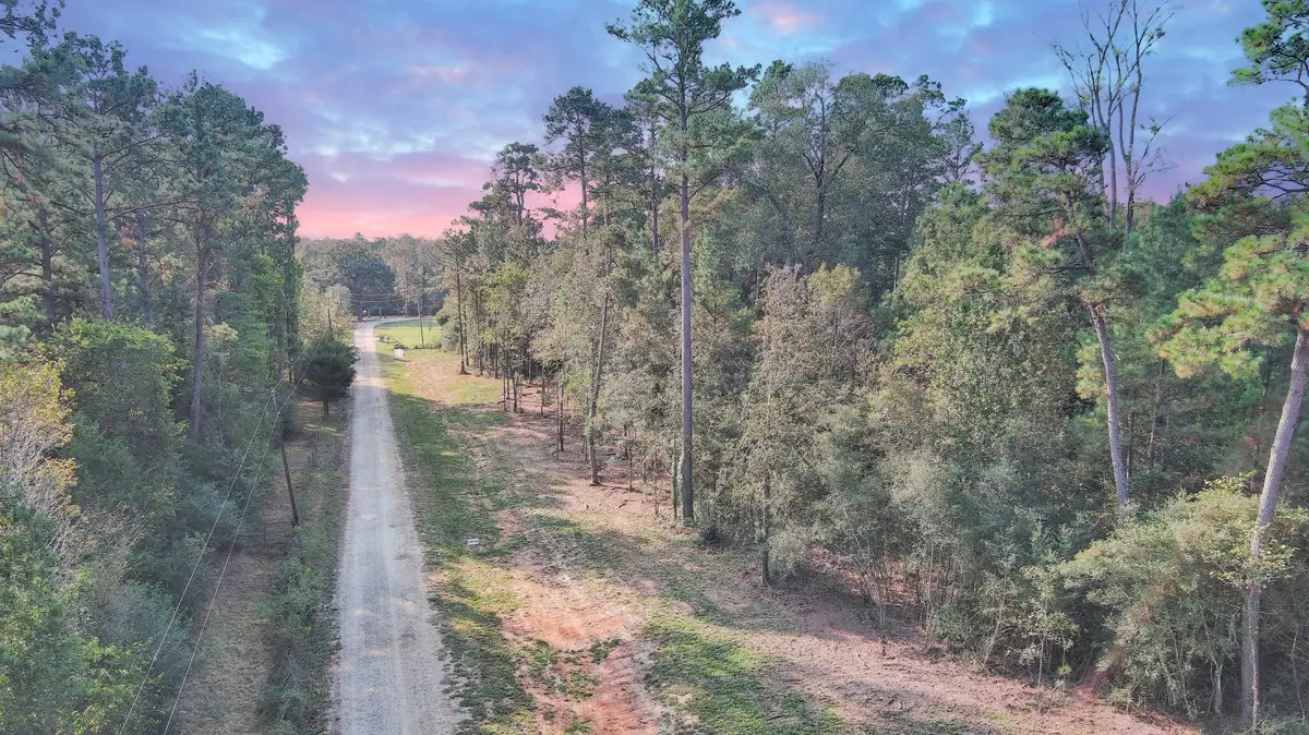 Lot 10 Gregory Lane, New Waverly, TX 77358 - #1