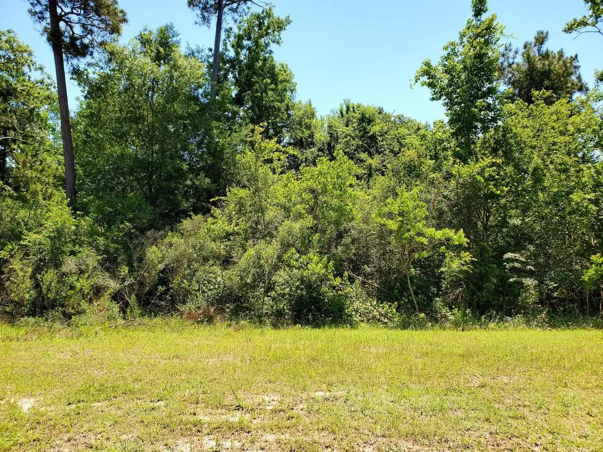 141 Kings Lake Estates Boulevard, Humble, TX 77346 - #1