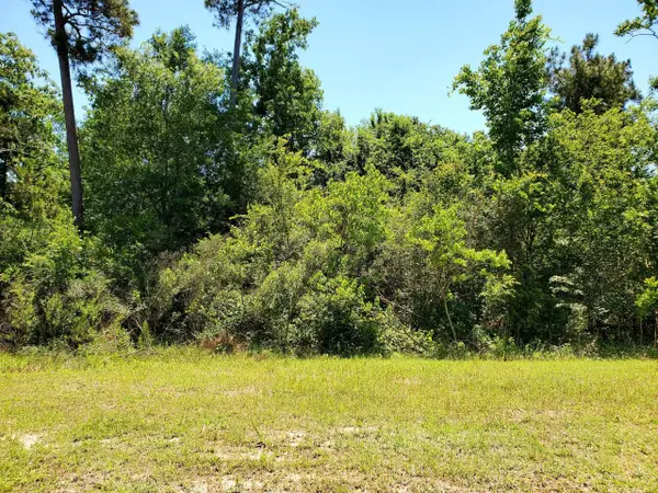 141 Kings Lake Estates Boulevard, Humble, TX 77346