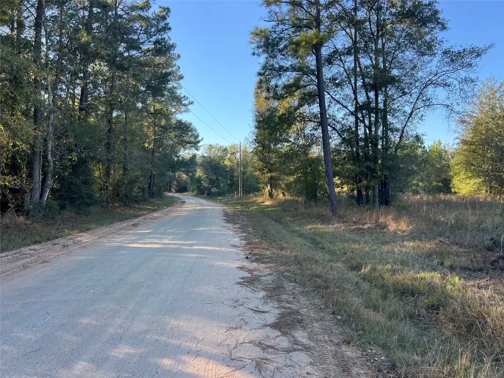 3711 Felix Currie Road, Point Blank, TX 77364 - #1