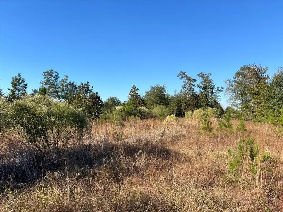 3711 Felix Currie Road, Point Blank, TX 77364 - #2