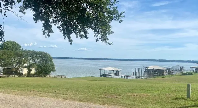 TBD Clearview Street, Point Blank, TX 77364 - #3