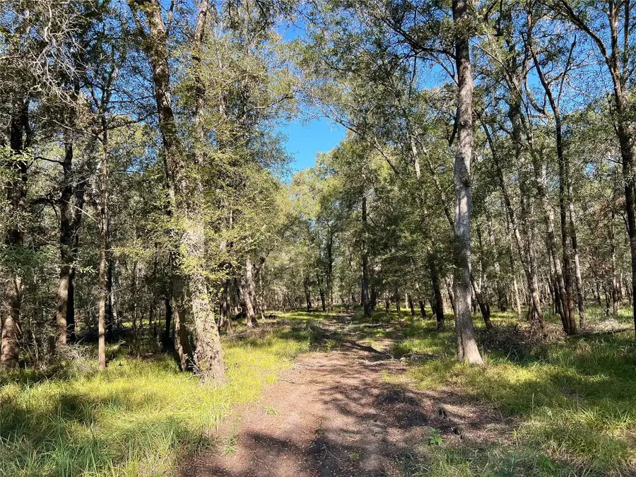 na Pr 1235, Centerville, TX 75833 - Image #3