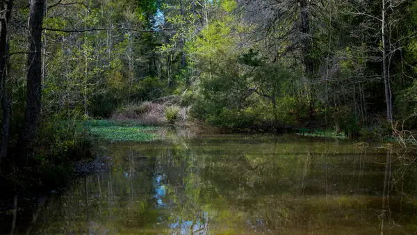 3773 W Sh 7, Crockett, TX 75823