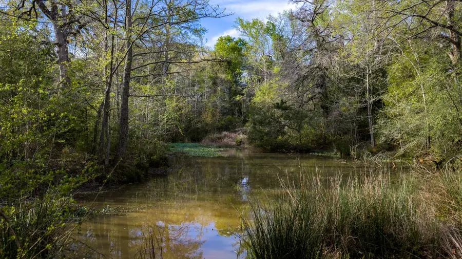 3773 W Sh 7, Porter Springs, TX 75823 - #2