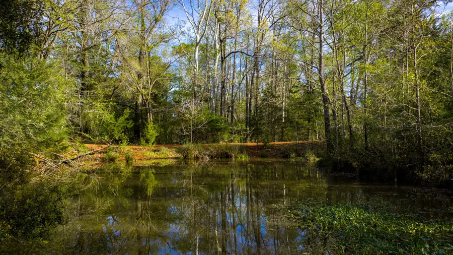 3773 W Sh 7, Porter Springs, TX 75823 - #3