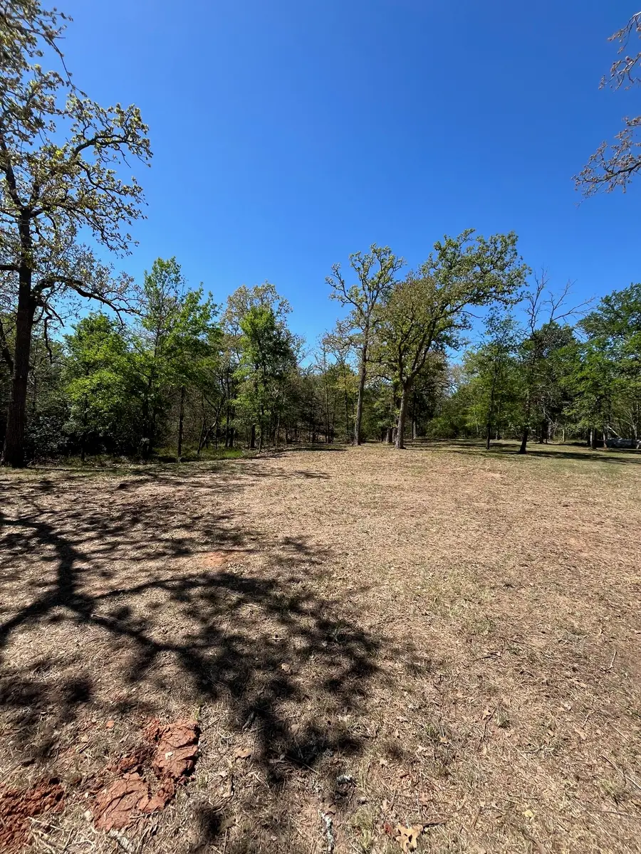 409 Bengals Bend, Somerville, TX 77879 - #3