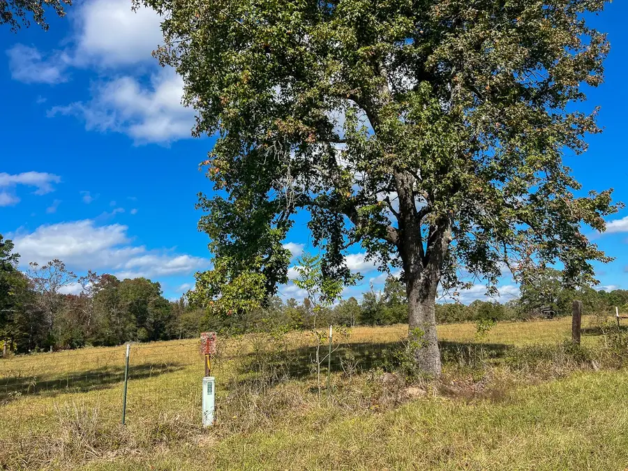 1 Fm 355, Trinity, TX 75862 - Image #3