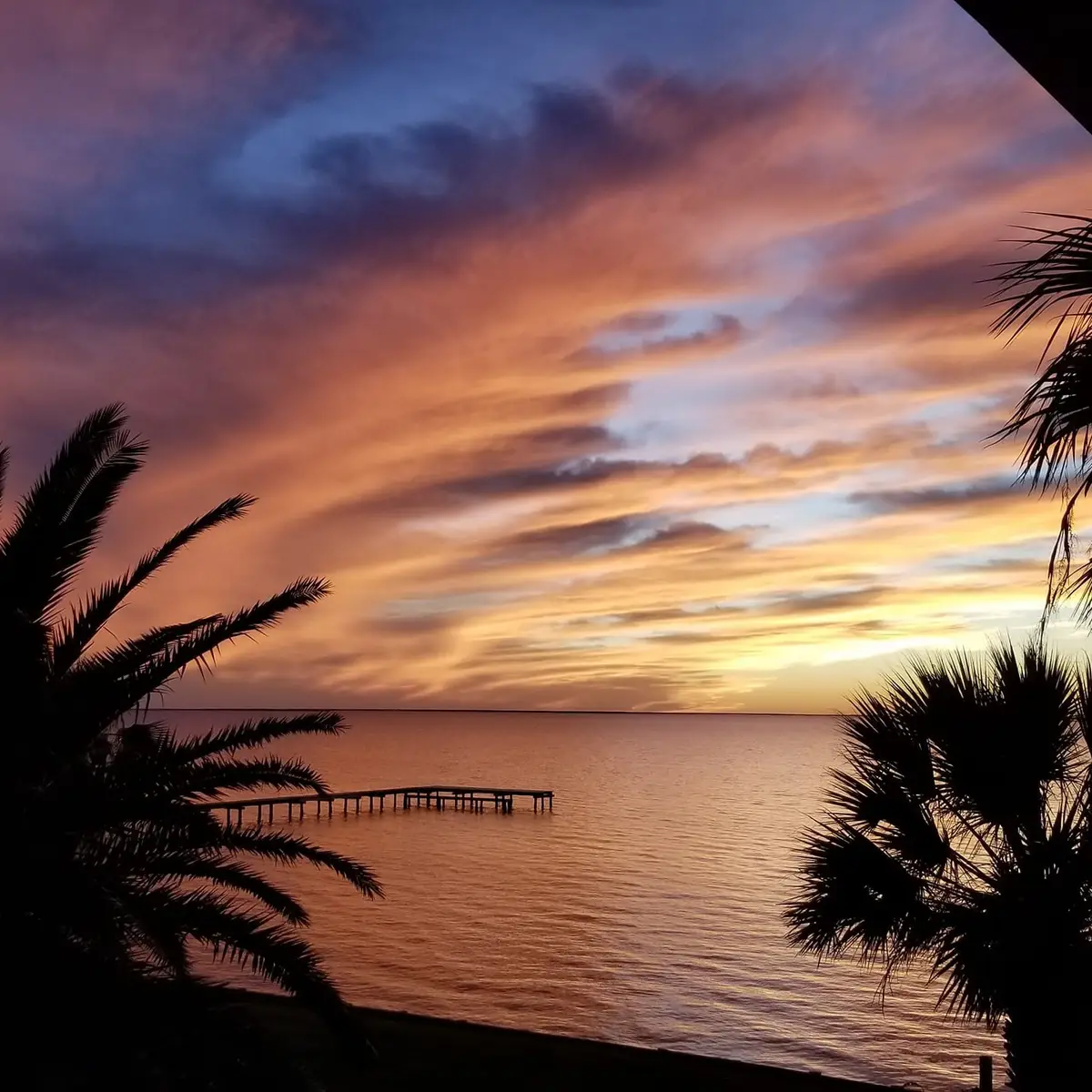 803 Windswept Drive, Port Lavaca, TX 77979 - #1