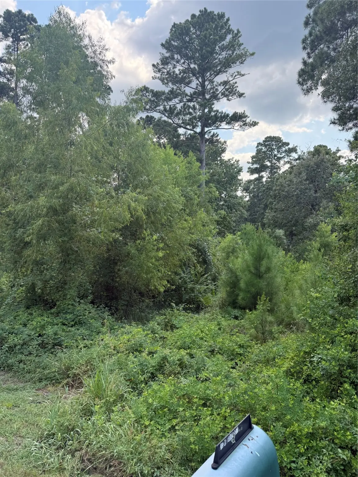 0 Warbonnet, Huntsville, TX 77320 - Image #1