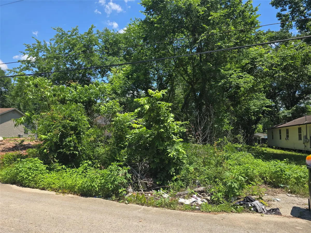 312 S 11th Street, Conroe, TX 77301 - #1