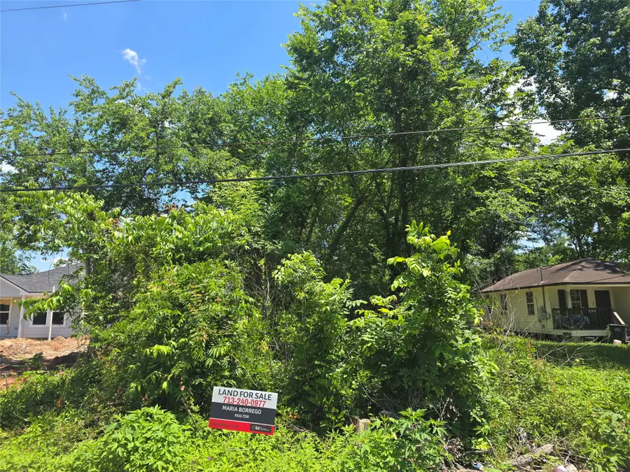 312 S 11th Street, Conroe, TX 77301 - #2