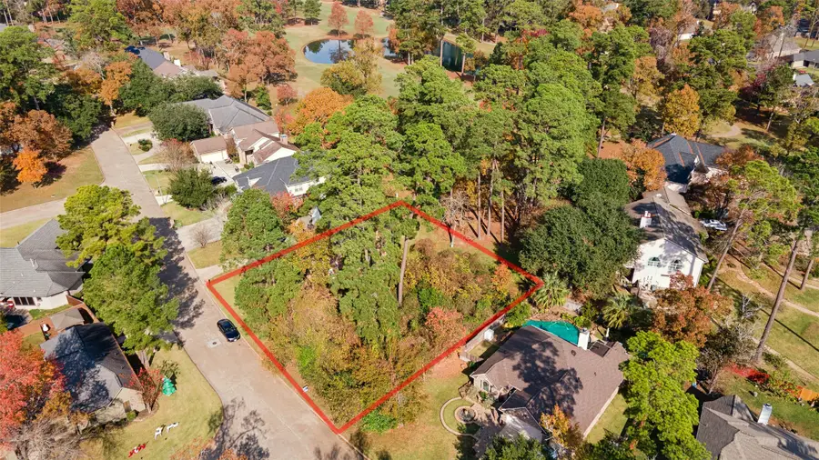 3058 Lake Island Drive, Montgomery, TX 77356 - Image #2