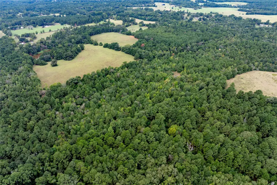 22 Acr Private Road 5040, Grapeland, TX 75844 - #2