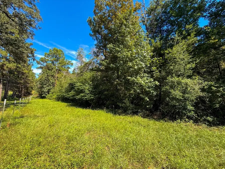 TBD County Road 4260, Woodville, TX 75979 - #2