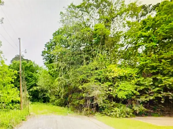 0 Harrison Street, Livingston, TX 77351