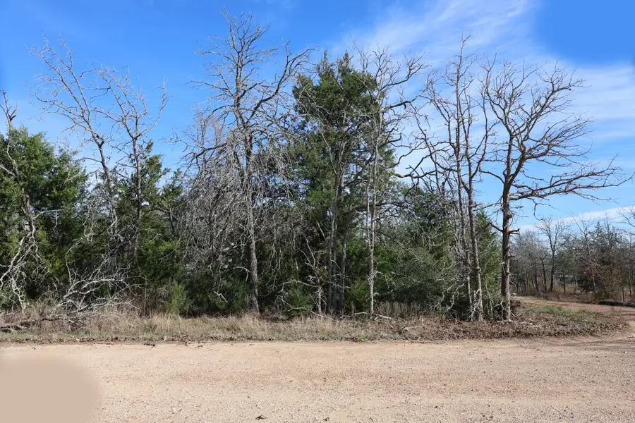 535 Blueberry Hill Road, Somerville, TX 77879 - Image #2