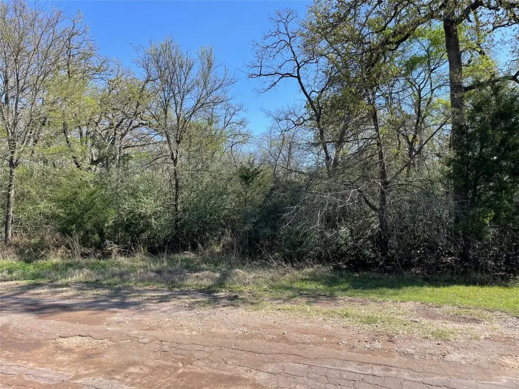 Lot 50 County Road 750, Thornton, TX 76687 - #1
