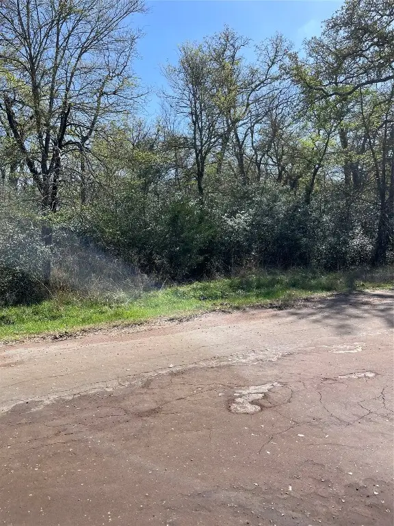 Lot 50 County Road 750, Thornton, TX 76687 - #2