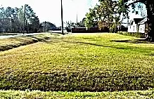 0 Magnolia, Houston, TX 77012 - #1