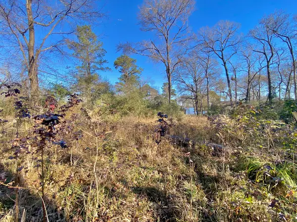 Lot #9 Tall Timber Road, Crockett, TX 75835