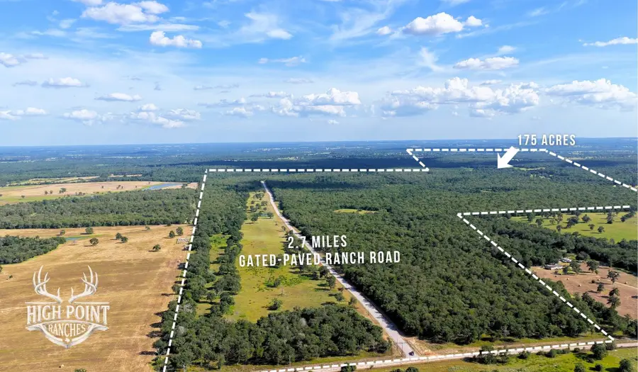 TBD Ranch Road Off Cr 405 - 175 Acres, Lexington, TX 78947 - #2