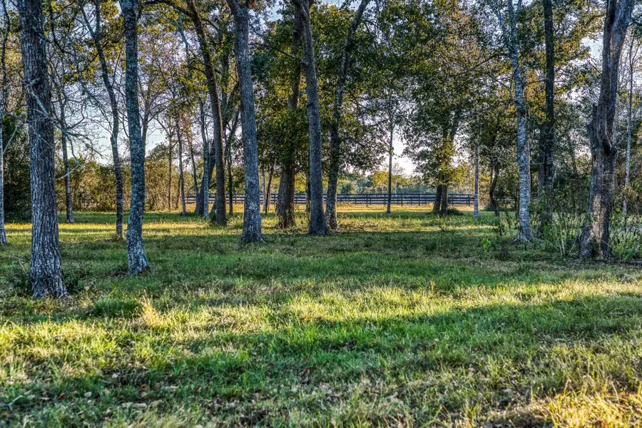 39841 Mesquite, Hempstead, TX 77445 - #2