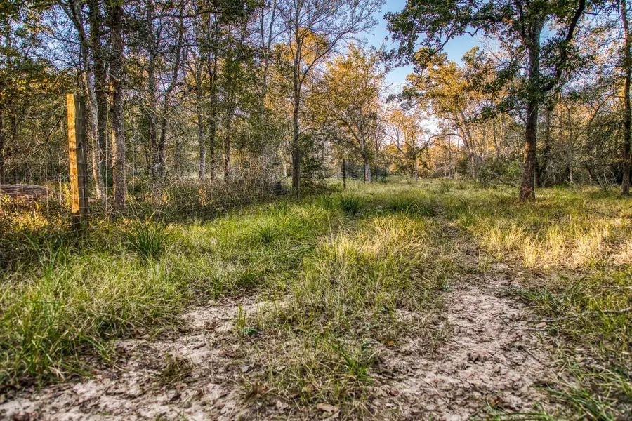 39841 Mesquite, Hempstead, TX 77445 - #3