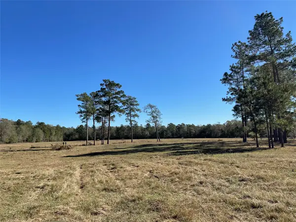 0 California Av, Cleveland, TX 77328