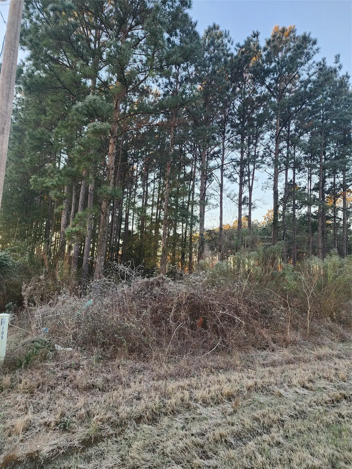 133 County Road 5003, Cleveland, TX 77327 - #1