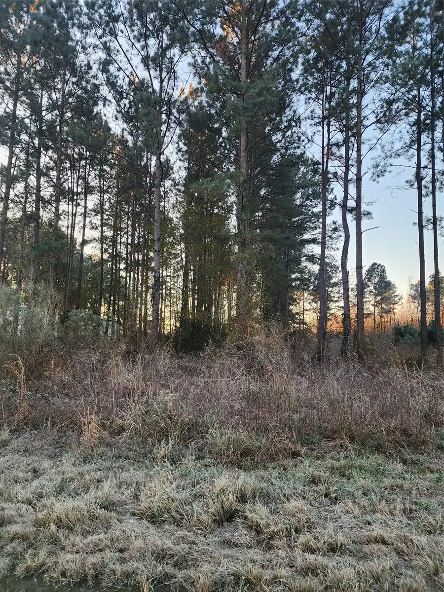 133 County Road 5003, Cleveland, TX 77327 - #2