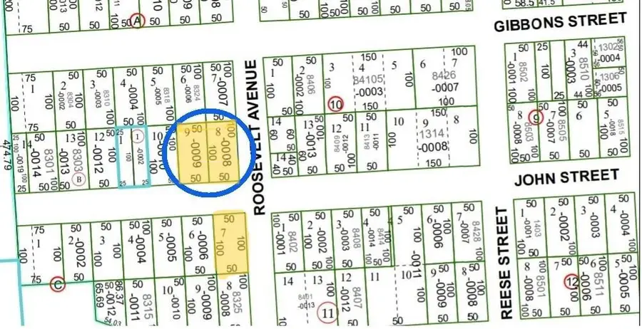 1310 Roosevelt Street, Houston, TX 77012 - #2