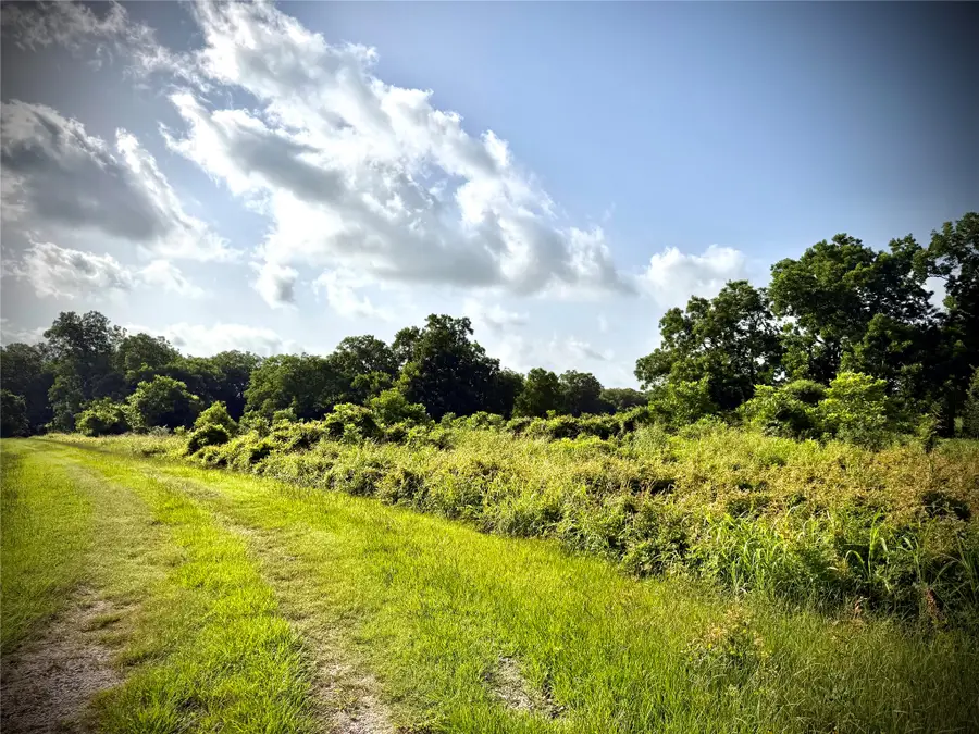 0 Fm 442, Boling, TX 77420 - #3