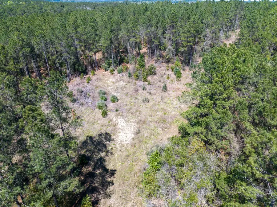 526 Mount Pisgah Road, Woodville, TX 75979 - #3