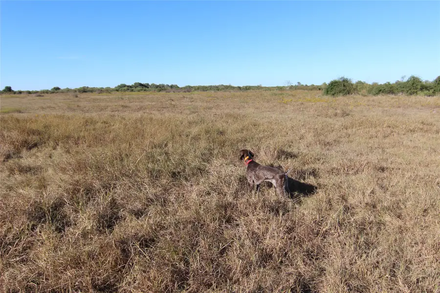 0 County Road 215, Ganado, TX 77962 - Image #3