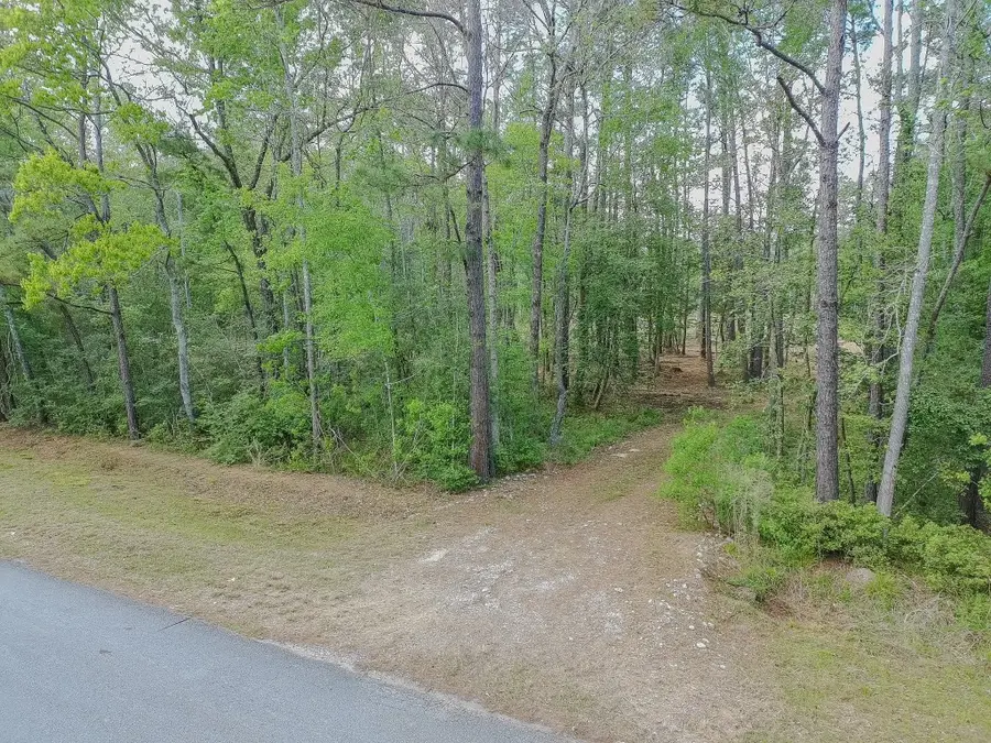 0 Ascot Farms, Magnolia, TX 77354 - #2