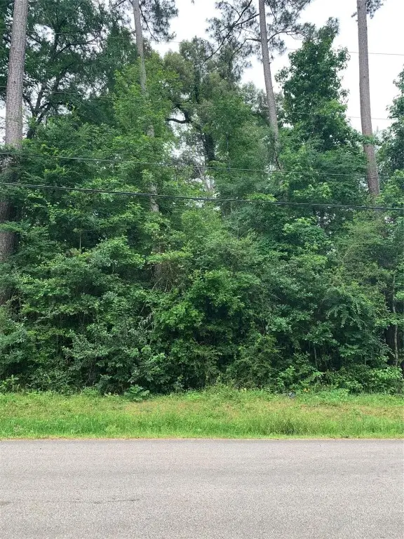 000 Birch Drive, Montgomery, TX 77356