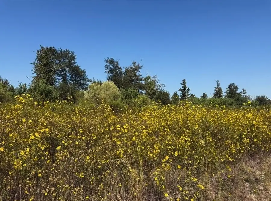 5308 Road 5914-08, Cleveland, TX 77327 - Image #2