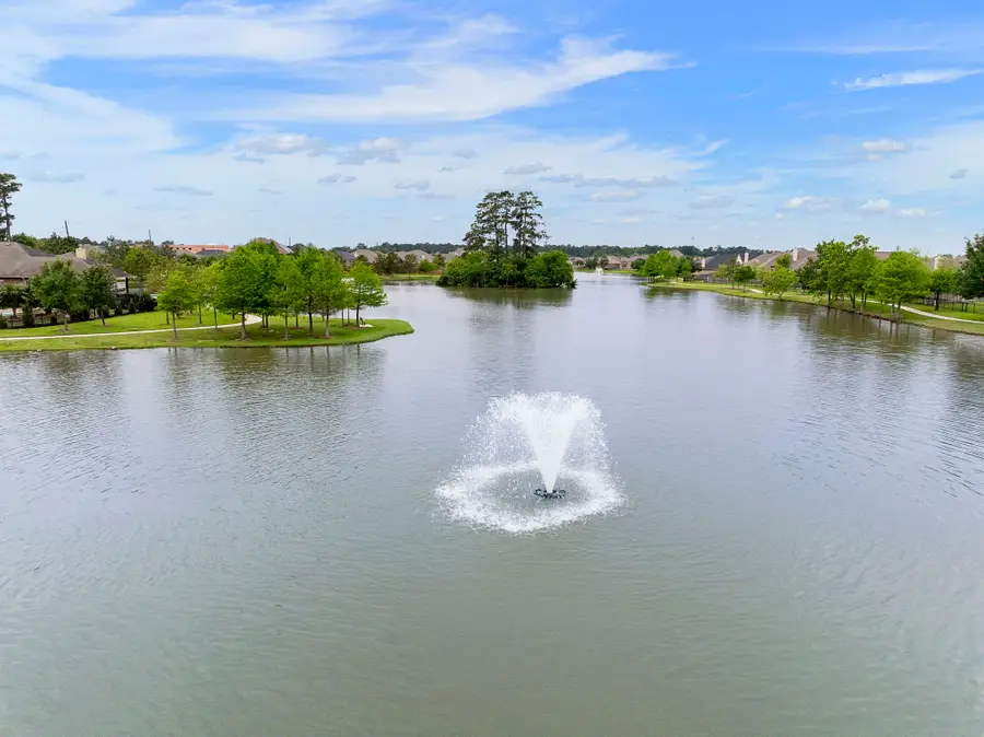 22810 Dale River Road, Tomball, TX 77375 - #3