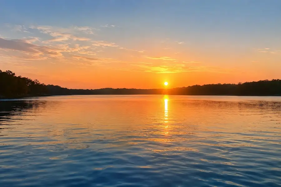 160 Dogwood Lake Drive, Livingston, TX 77351 - #2