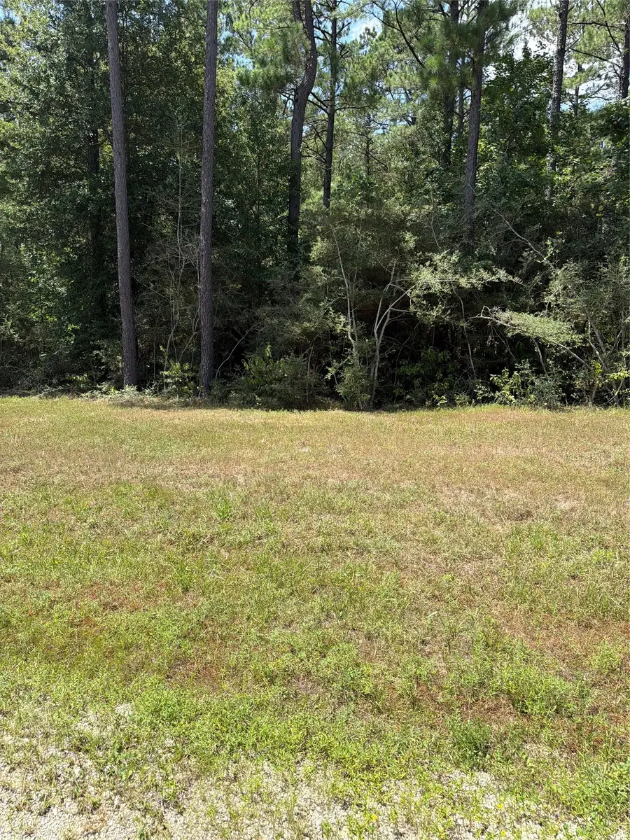 Lot 54 Grey Feather Road, Huntsville, TX 77340 - #2